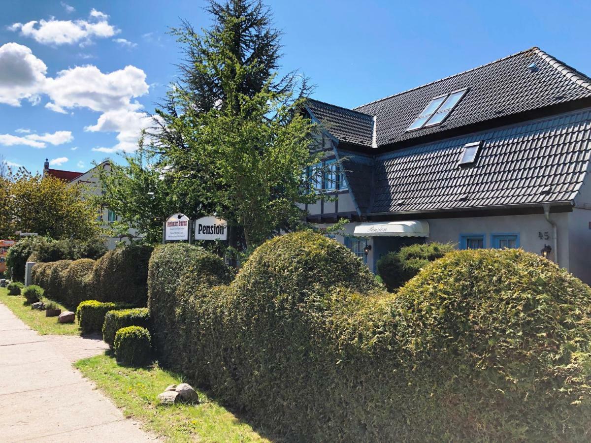 Pension Zum Brauhaus Stralsund Luaran gambar