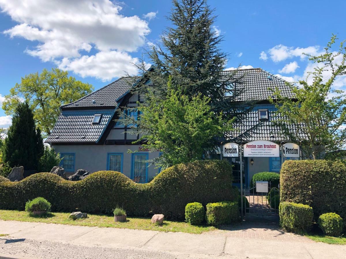 Pension Zum Brauhaus Stralsund Luaran gambar